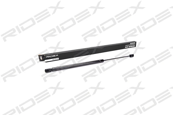 Gas Spring, boot/cargo area (219G0056)