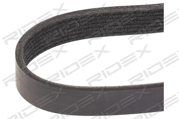 V-Ribbed Belt (305P0345)