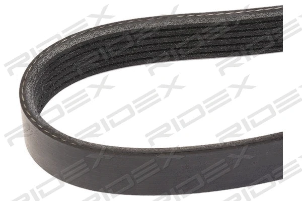 V-Ribbed Belt (305P0341)