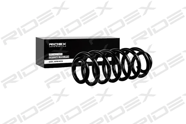 Suspension Spring (188C0279)