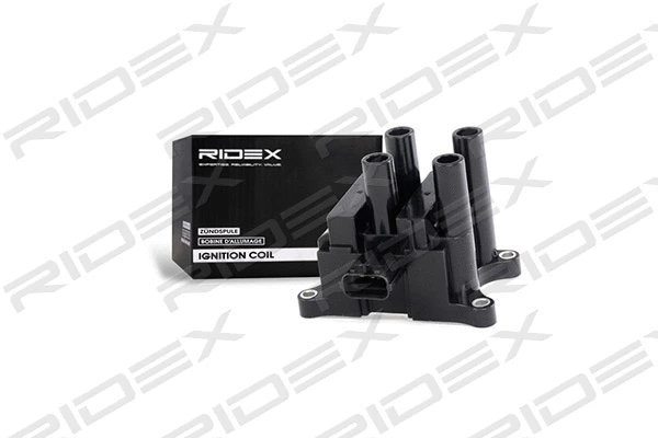Ignition Coil (689C0110)