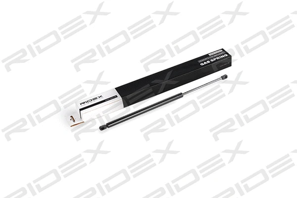 Gas Spring, boot/cargo area (219G0422)