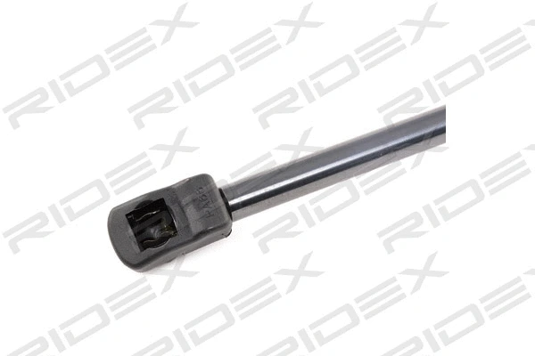 Gas Spring, boot/cargo area (219G0664)