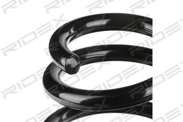 Suspension Spring (188C0139)