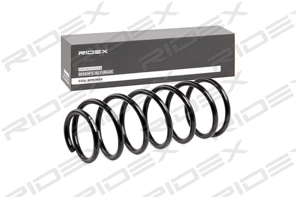 Suspension Spring (188C0356)