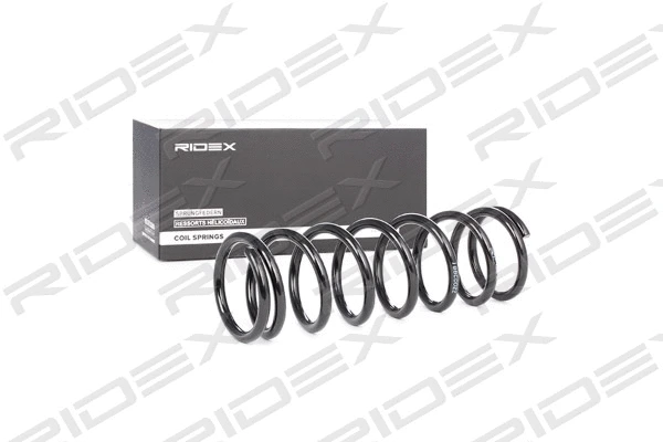Suspension Spring (188C0022)