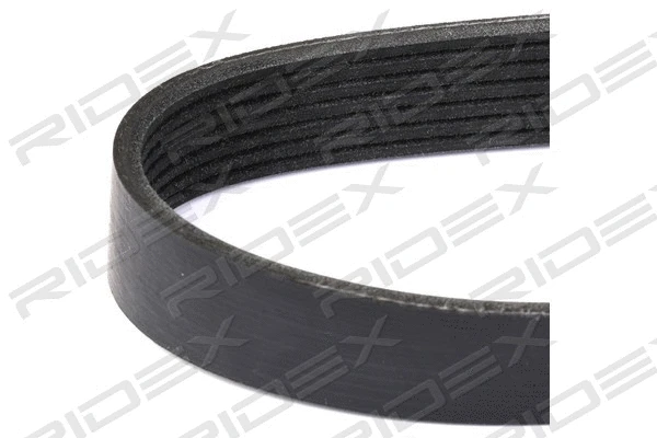 V-Ribbed Belt (305P0205)