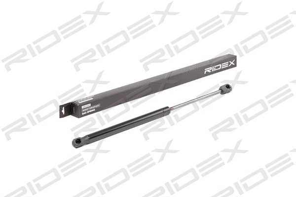 Gas Spring, boot/cargo area