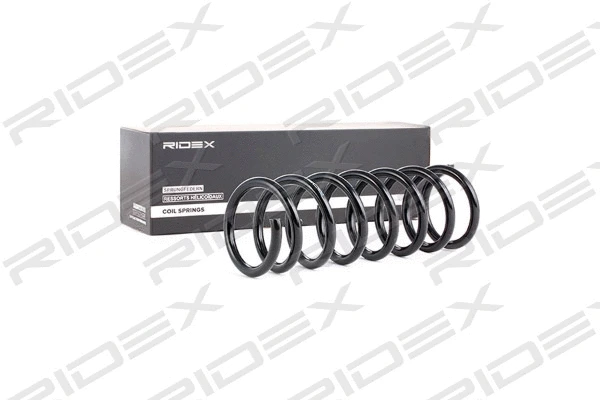 Suspension Spring (188C0148)