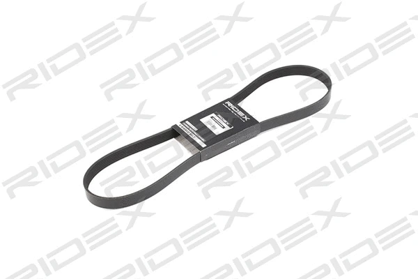 V-Ribbed Belt (305P0232)