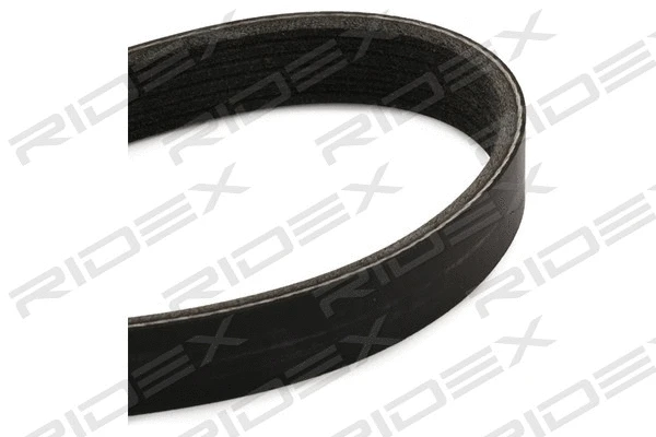 V-Ribbed Belt (305P0399)