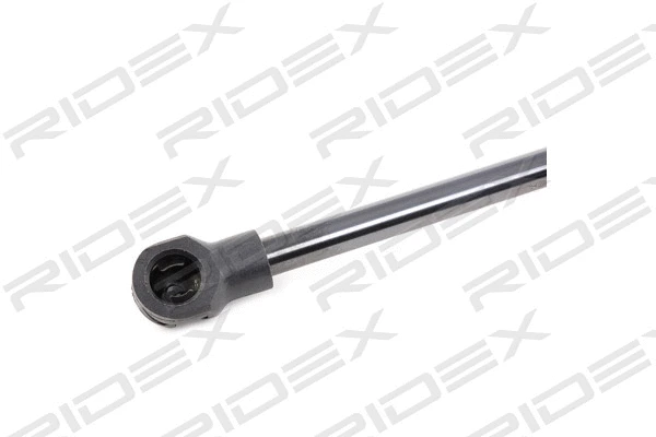 Gas Spring, boot/cargo area (219G0649)