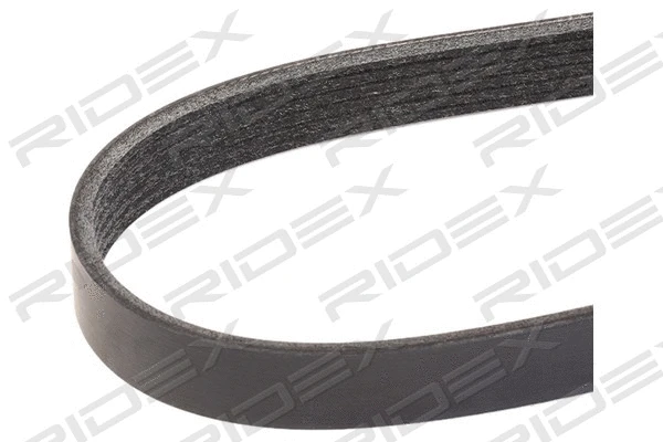V-Ribbed Belt (305P0401)