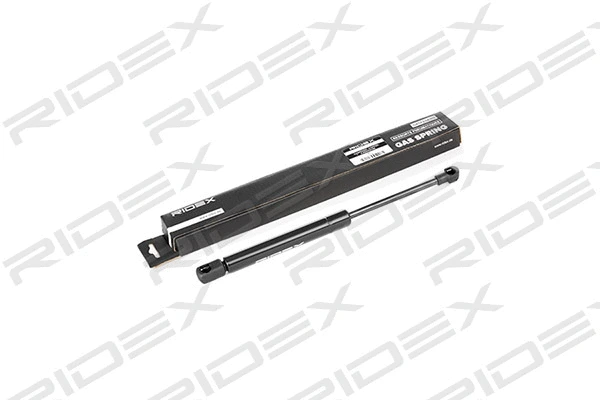 Gas Spring, boot/cargo area (219G0174)