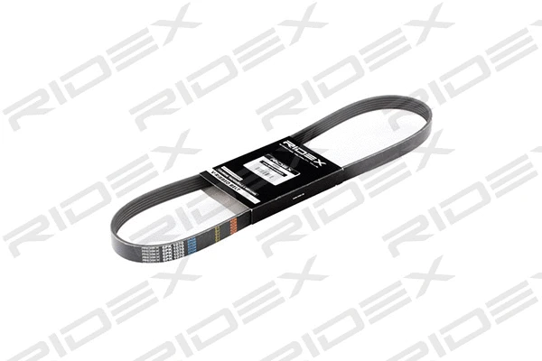 V-Ribbed Belt (305P0056)