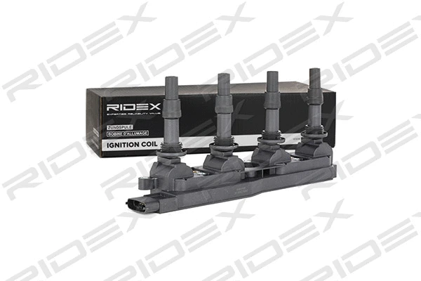 Ignition Coil (689C0033)