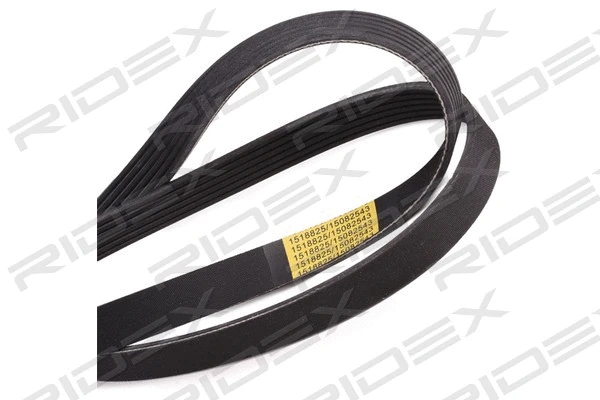 V-Ribbed Belt (305P0406)