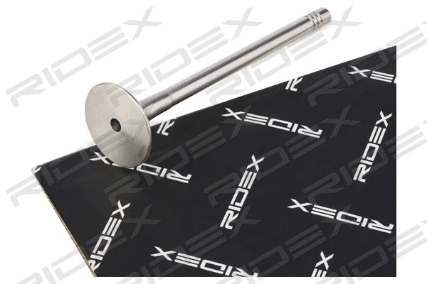 Exhaust Valve