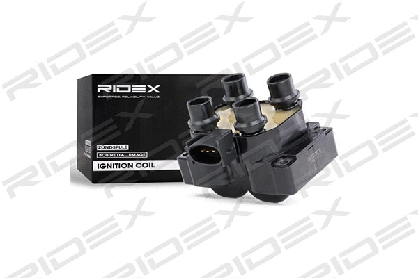 Ignition Coil (689C0041)
