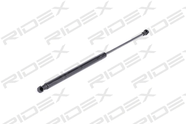 Gas Spring, boot/cargo area (219G0312)