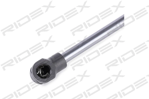 Gas Spring, boot/cargo area (219G0642)