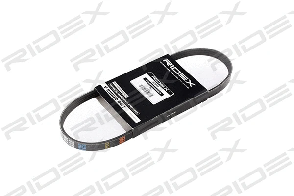 V-Ribbed Belt (305P0166)