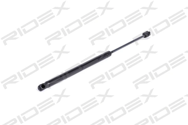 Gas Spring, boot/cargo area (219G0741)