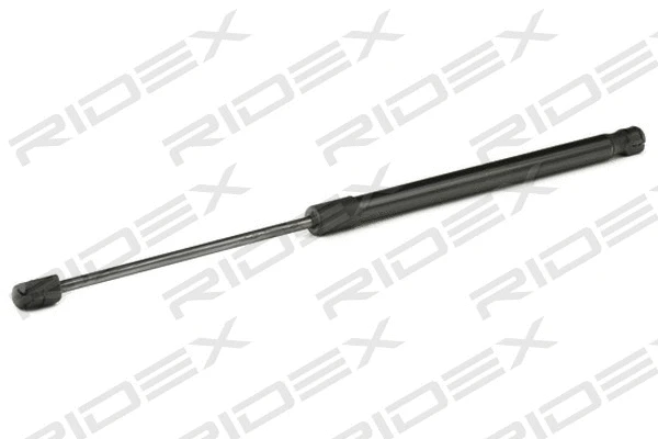 Gas Spring, boot/cargo area (219G0937)