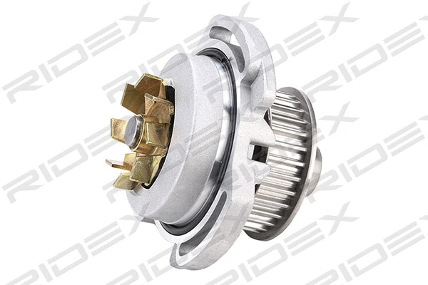 Water Pump & Timing Belt Kit