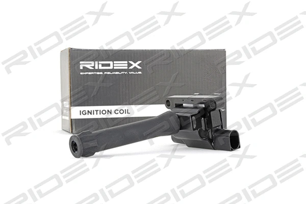 Ignition Coil (689C0060)