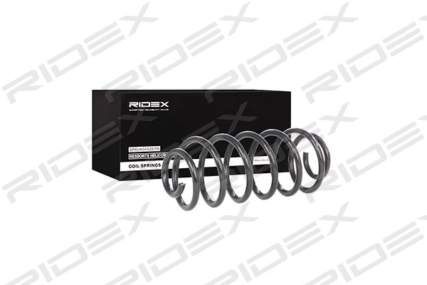 Suspension Spring (188C0355)