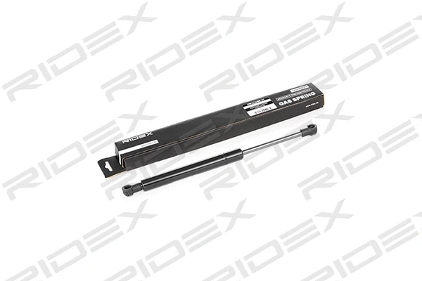 Gas Spring, boot/cargo area (219G0265)