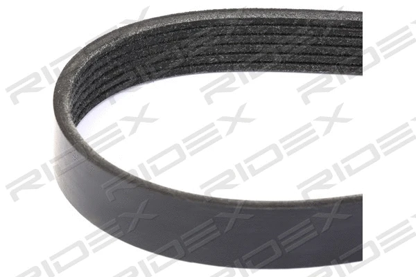V-Ribbed Belt (305P0194)