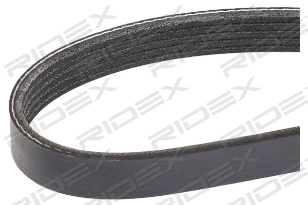 V-Ribbed Belt (305P0423)