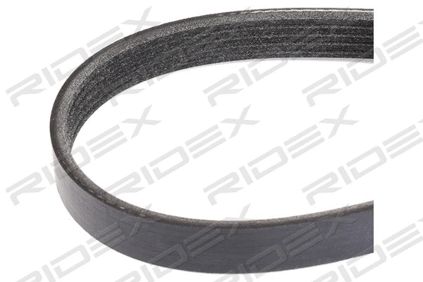 V-Ribbed Belt (305P0221)