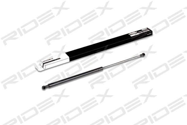 Gas Spring, boot/cargo area (219G0327)