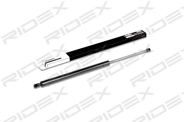 Gas Spring, boot/cargo area (219G0152)