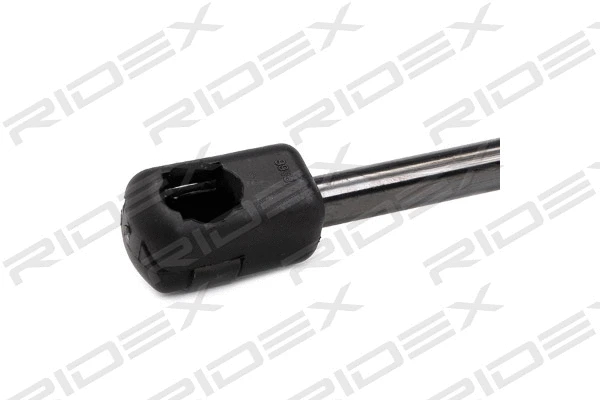 Gas Spring, boot/cargo area (219G0823)