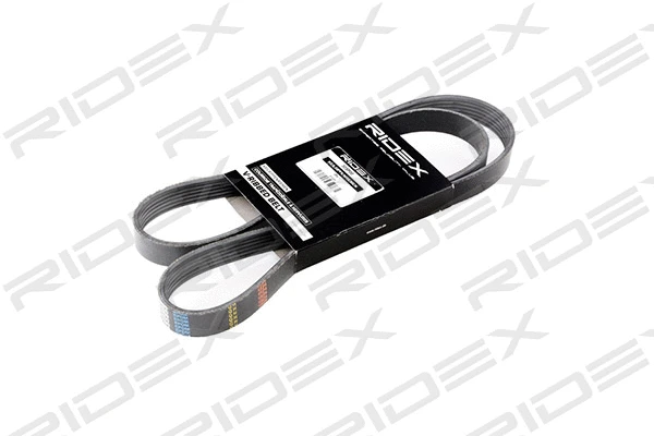 V-Ribbed Belt (305P0179)