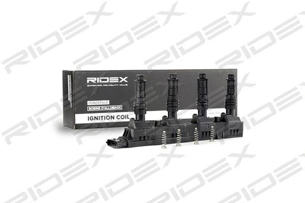 Ignition Coil (689C0101)