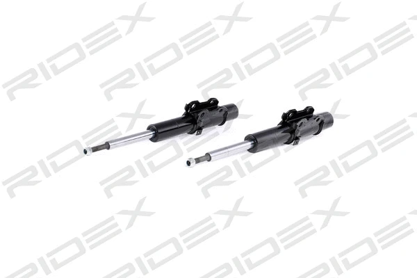 Shock Absorber (854S2198)