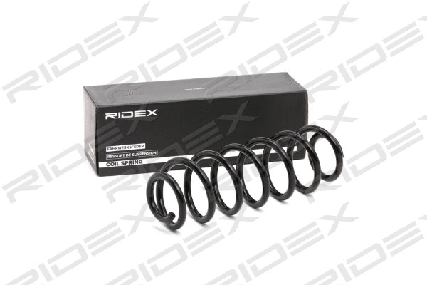 Suspension Spring (188C0497)