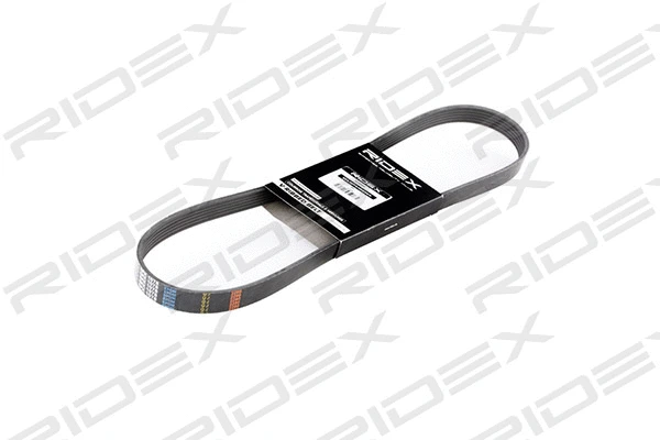 V-Ribbed Belt (305P0057)