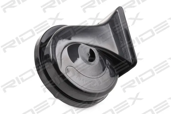 Trumpet Horn (196A0003)