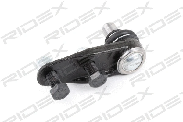 Ball Joint (2462S0301)