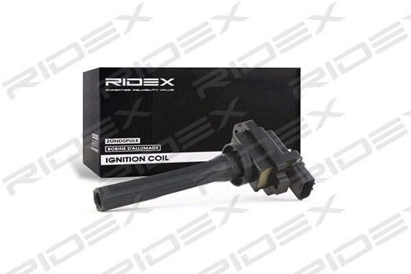 Ignition Coil (689C0078)
