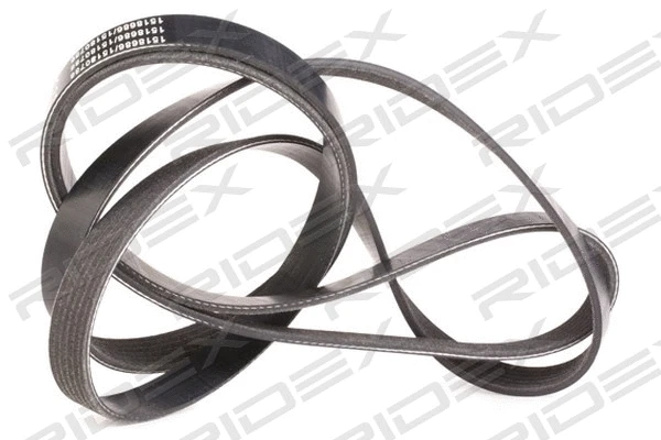 V-Ribbed Belt (305P0412)