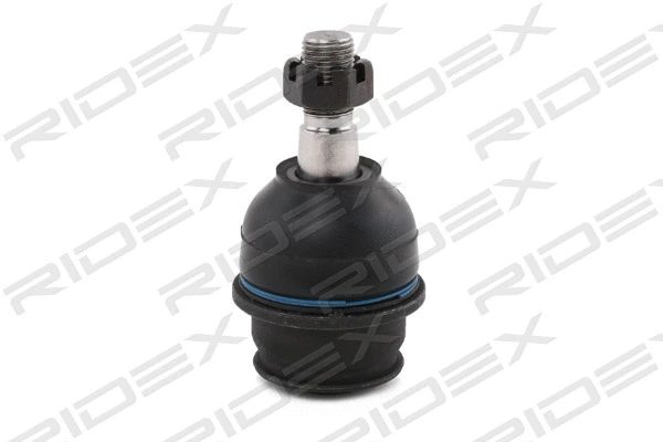 Ball Joint (2462S0321)