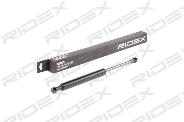 Gas Spring, boot/cargo area (219G0252)