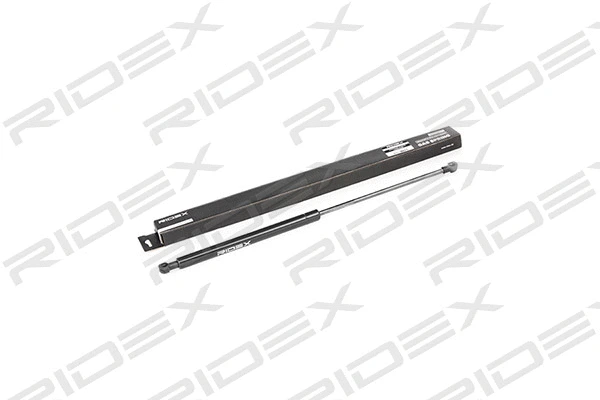 Gas Spring, boot/cargo area (219G0097)
